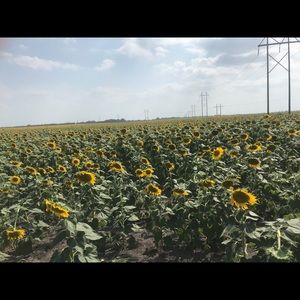 Meet your Posher, Dulce